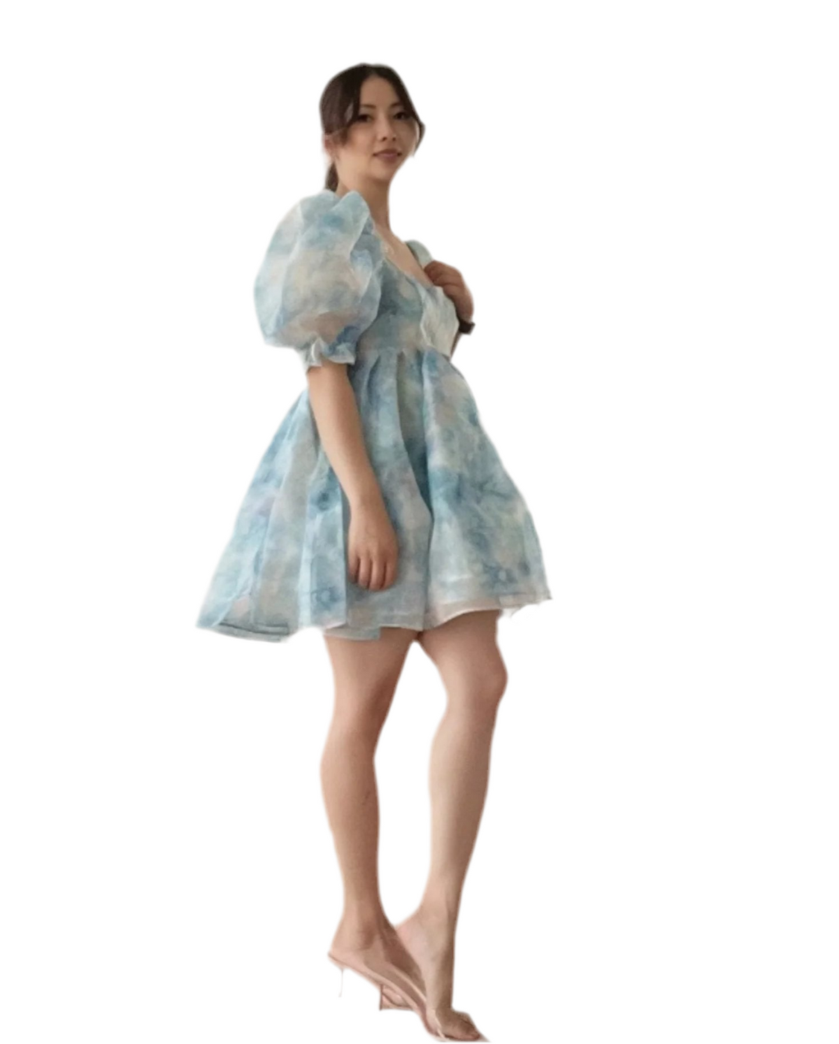 Sylvie Organza Dress